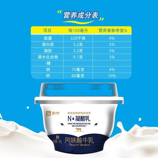 蒙牛凝酪乳风味酸牛乳140g 商品图2