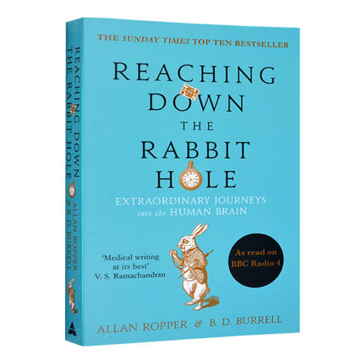 掉进兔子洞 人脑的奇妙之旅 英文原版 Reaching Down the Rabbit Hole Journeys into the Human Brain 英文版进口英语书 商品图0