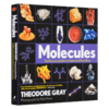 视觉之旅 化学世界的分子奥秘英文原版 Molecules The Elements and the Architecture of Everything 分子一切的要素和架构英文版 商品缩略图3