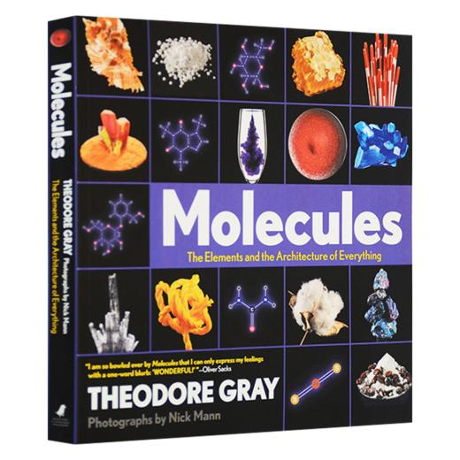 视觉之旅 化学世界的分子奥秘英文原版 Molecules The Elements and the Architecture of Everything 分子一切的要素和架构英文版 商品图3