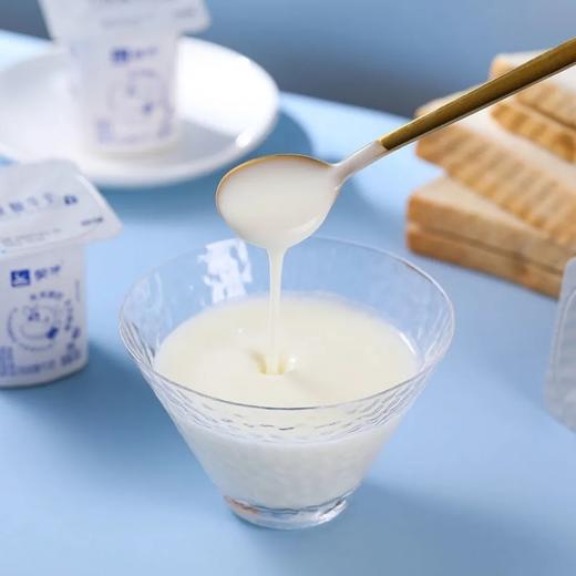 蒙牛复原乳风味酸牛奶原味（杯） 商品图1