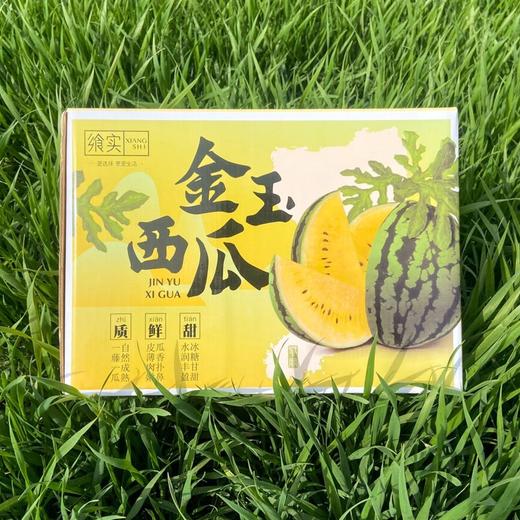 金玉西瓜 商品图2