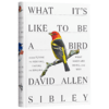 做鸟的感觉 英文原版 What It's Like to Be a Bird 鸟类指南 David Allen Sibley 英文版 进口英语书籍 商品缩略图1