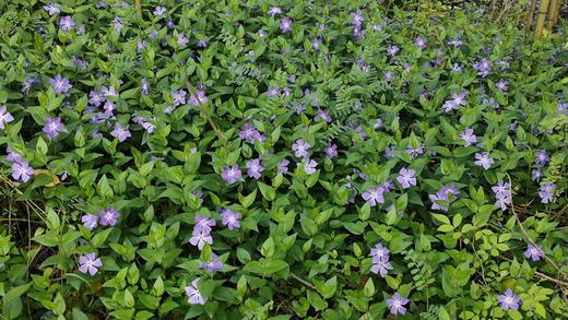 微微测试1 商品图0