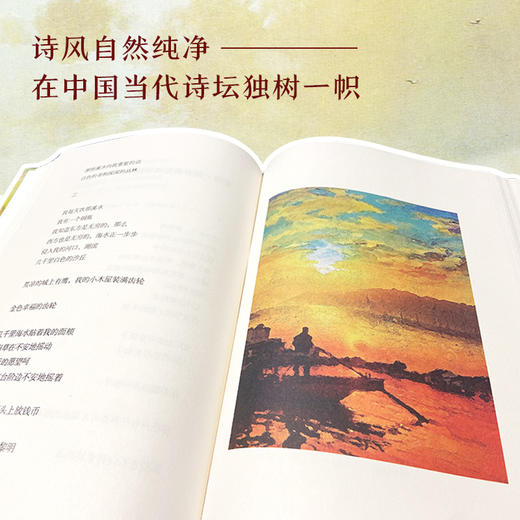 顾城诗精选 商品图1