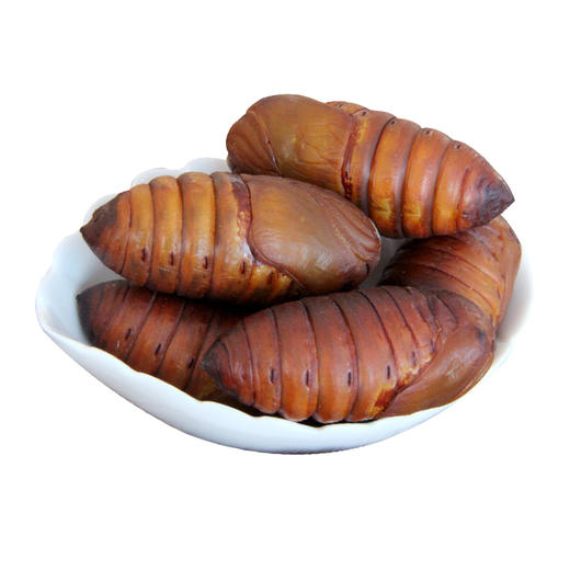 【鲜活】大号黄蚕蛹   一斤大概45-48只左右 商品图2