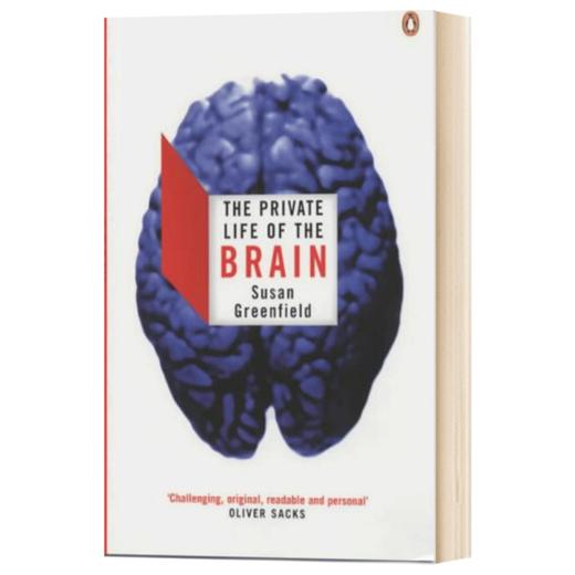 大脑的秘密生活 英文原版 The Private Life of the Brain Susan Greenfield 英文版 进口英语书籍 商品图1