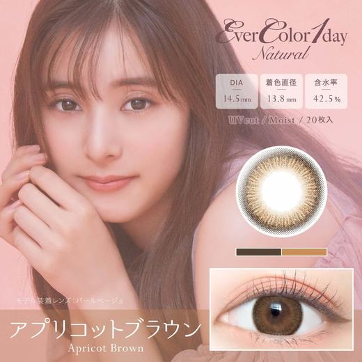 【日抛】「西安保税仓发货」 Evercolor 日抛 一盒20片 日本隐形眼镜美瞳ever color 商品图5