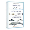 鲸鱼 海豚和小海豚手册 英文原版 Handbook of Whales Dolphins and Porpoises 英文版进口原版英语书籍 商品缩略图0