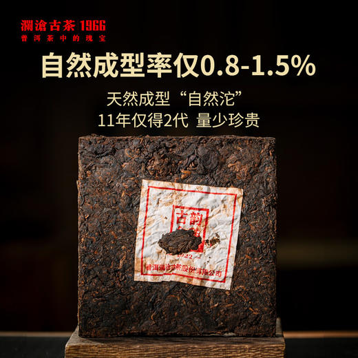 澜沧古茶2022年古韵金砖普洱熟茶名山老茶头250g 商品图2