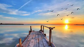 左乔建：为什么说脾胃是后天之本？