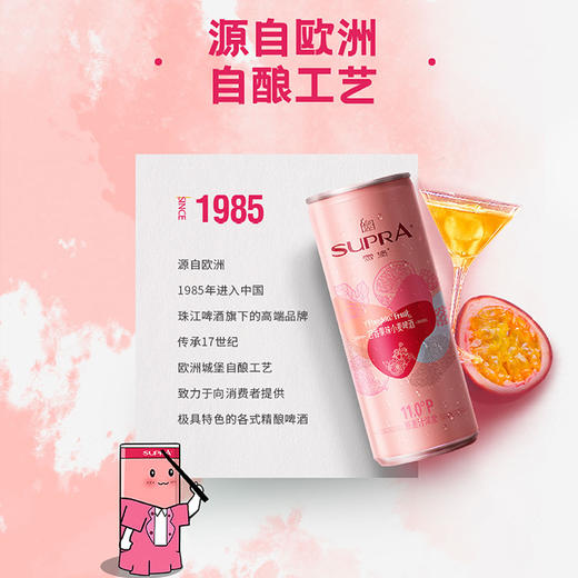 「汪苏泷代言」11度雪堡百香果味小麦啤酒310ml*12罐装 商品图6