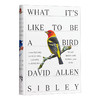 做鸟的感觉 英文原版 What It's Like to Be a Bird 鸟类指南 David Allen Sibley 英文版 进口英语书籍 商品缩略图0