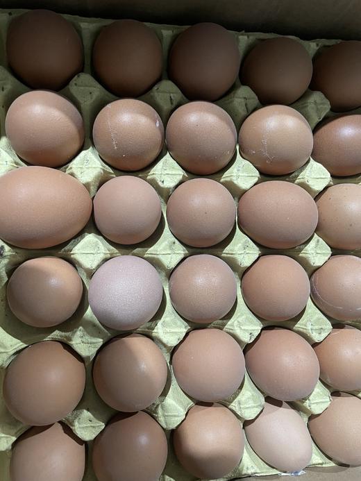 携手抗疫/纯玉糯软糯香米20斤*2袋 商品图3