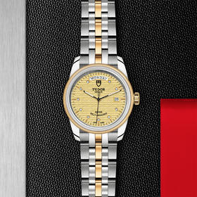 帝舵骏珏星期日历型 | 钢表壳，直径39毫米  镶钻表盘