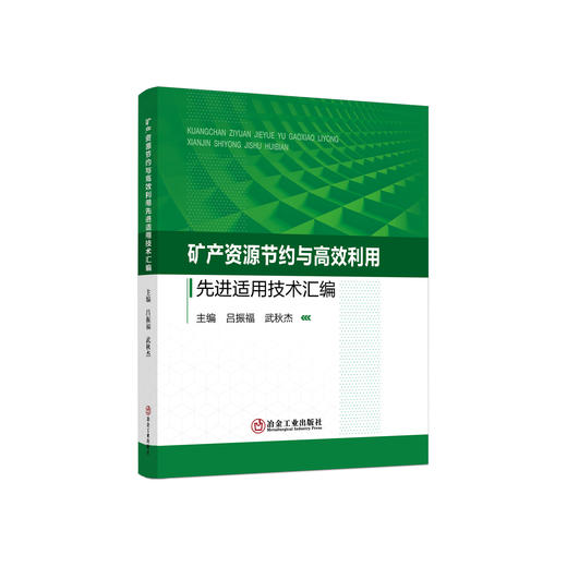 矿产资源节约与高效利用先进适用技术汇编/吕振福 武秋杰 商品图0