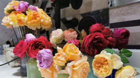 草木粉拍摄美图