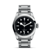 帝舵碧湾型41 | 钢表壳，直径41毫米  钢表带 商品缩略图1