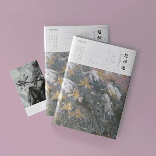 诗画系列：《声律启蒙》《千家诗选》《楚辞选》《宋诗选》《山水田园诗选》 《诗经选 》《唐宋词选》（上下册）注音朗读版（全8册） 商品图6