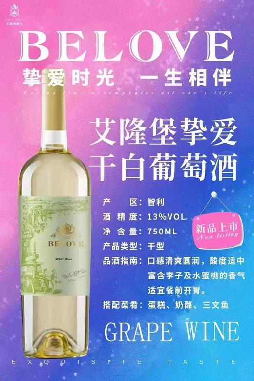 艾隆堡挚爱干白葡萄酒  13度 商品图0