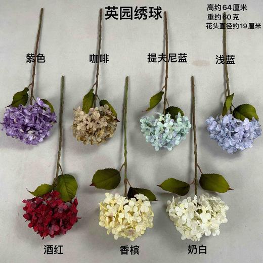 英园绣球（运费自理） 商品图0