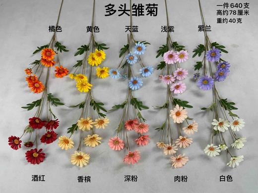 多头雏菊（运费自理） 商品图0