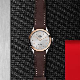 帝舵1926系列 | 钢表壳，直径28毫米  镶钻表盘