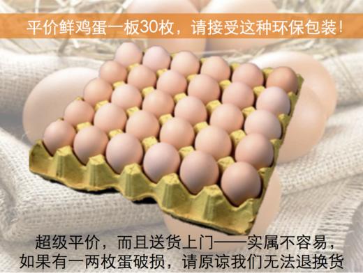 抗疫平价良心蛋 简装:30个鸡蛋/板，仅需36元 商品图2