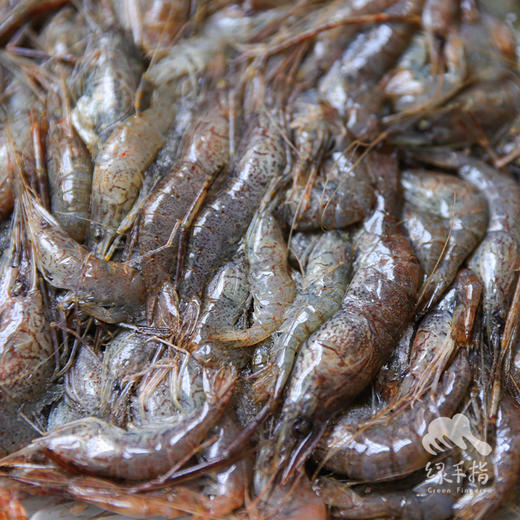 生态小青虾（小河虾） | 合作生产*Eco-Small  shrimp | Coproduct 商品图8