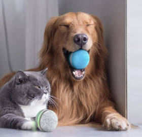 如何为毛孩子真确储粮