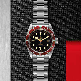 帝舵碧湾 | 钢表壳，直径41毫米  铆钉钢表带