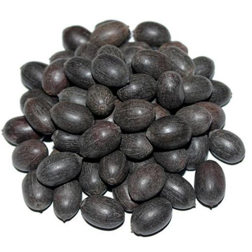 旺季72小时发货【生长快】碗莲水培植物花卉室内花好养四季开花水养荷花盆栽客厅睡莲-W仓 商品图5