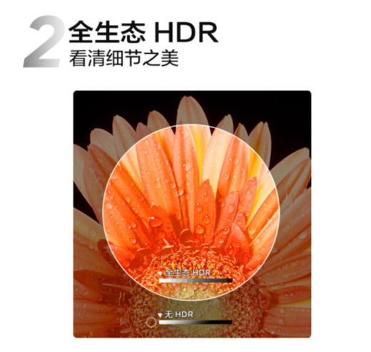 TCL电视 65P12 65英寸 QLED原色量子点电视 全生态HDR10 双频WiFi 3+32GB 智能平板电视机 商品图2