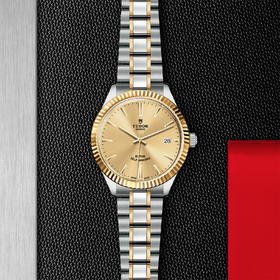 帝舵风尚系列 | 钢表壳，直径38毫米  黄金外圈