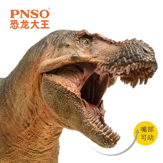 PNSO诸城暴龙鲁雄恐龙大王成长陪伴模型58 商品图3