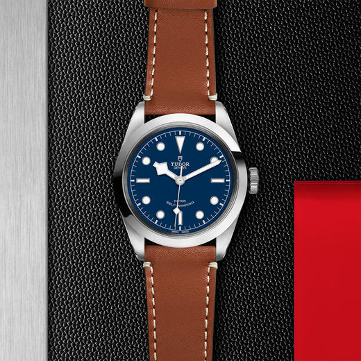 帝舵碧湾型41 | 钢表壳，直径41毫米  棕色皮表带 商品图0