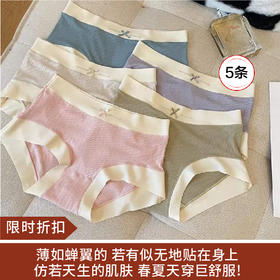 【限时折扣】裸感螺纹棉莫代尔内裤 一组5条 M-XL