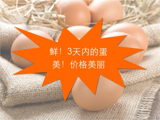 抗疫平价良心蛋 简装:30个鸡蛋/板，仅需36元 商品图5