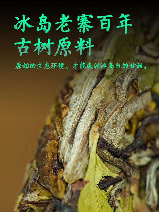 凰馨古茶【冰岛古树白茶】 2022古树纯料200g 商品图1