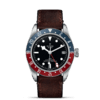 帝舵碧湾格林尼治型 |  钢表壳，直径41毫米  赭棕色皮表带 商品缩略图1