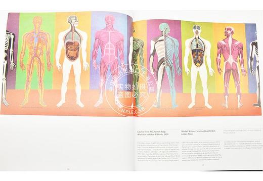 现货 解剖学：探索人体 英文原版 Anatomy: Exploring the Human Body 费顿出版社 phaidon 医学历史 艺术画册 精装 商品图3