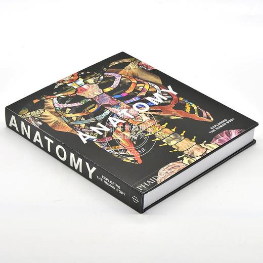 现货 解剖学：探索人体 英文原版 Anatomy: Exploring the Human Body 费顿出版社 phaidon 医学历史 艺术画册 精装 商品图1