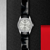 帝舵骏珏日历型 | 钢表壳，直径31毫米  镶钻表盘 商品缩略图0