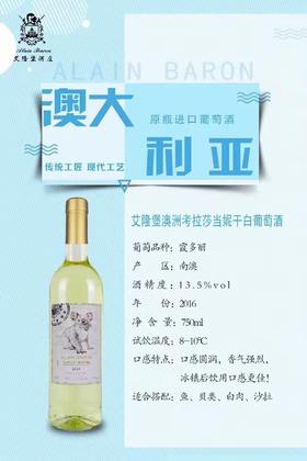 澳洲考拉莎当妮干白葡萄酒  13.5度