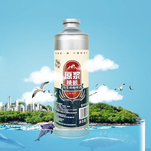 原浆精酿啤酒1L*6瓶/箱【GYAJQ】 商品图1