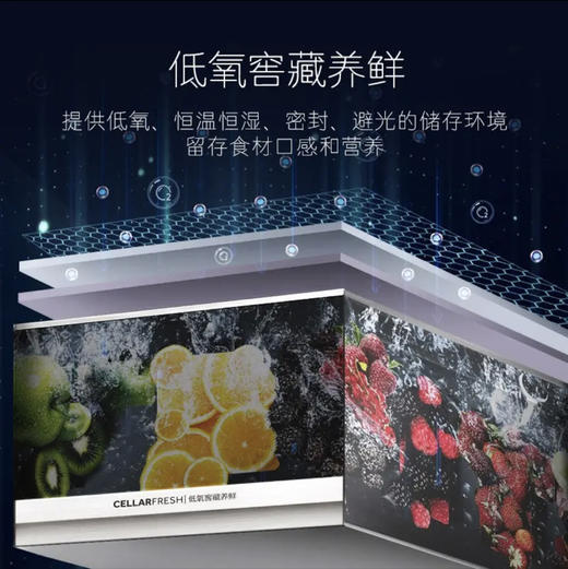 卡萨帝（Casarte）冰箱BCD-505WGCTDMFGYU1 商品图2