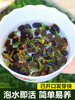 旺季72小时发货【生长快】碗莲水培植物花卉室内花好养四季开花水养荷花盆栽客厅睡莲-W仓 商品缩略图3