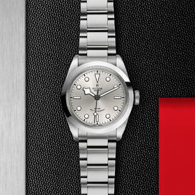 帝舵碧湾型41 | 钢表壳，直径41毫米  钢表带