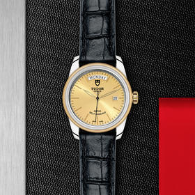 帝舵骏珏星期日历型 | 钢表壳，直径39毫米  黄金及钢外圈