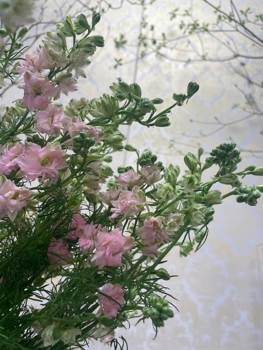 千鸟飞燕  多色可选 约8-10枝/扎 商品图7